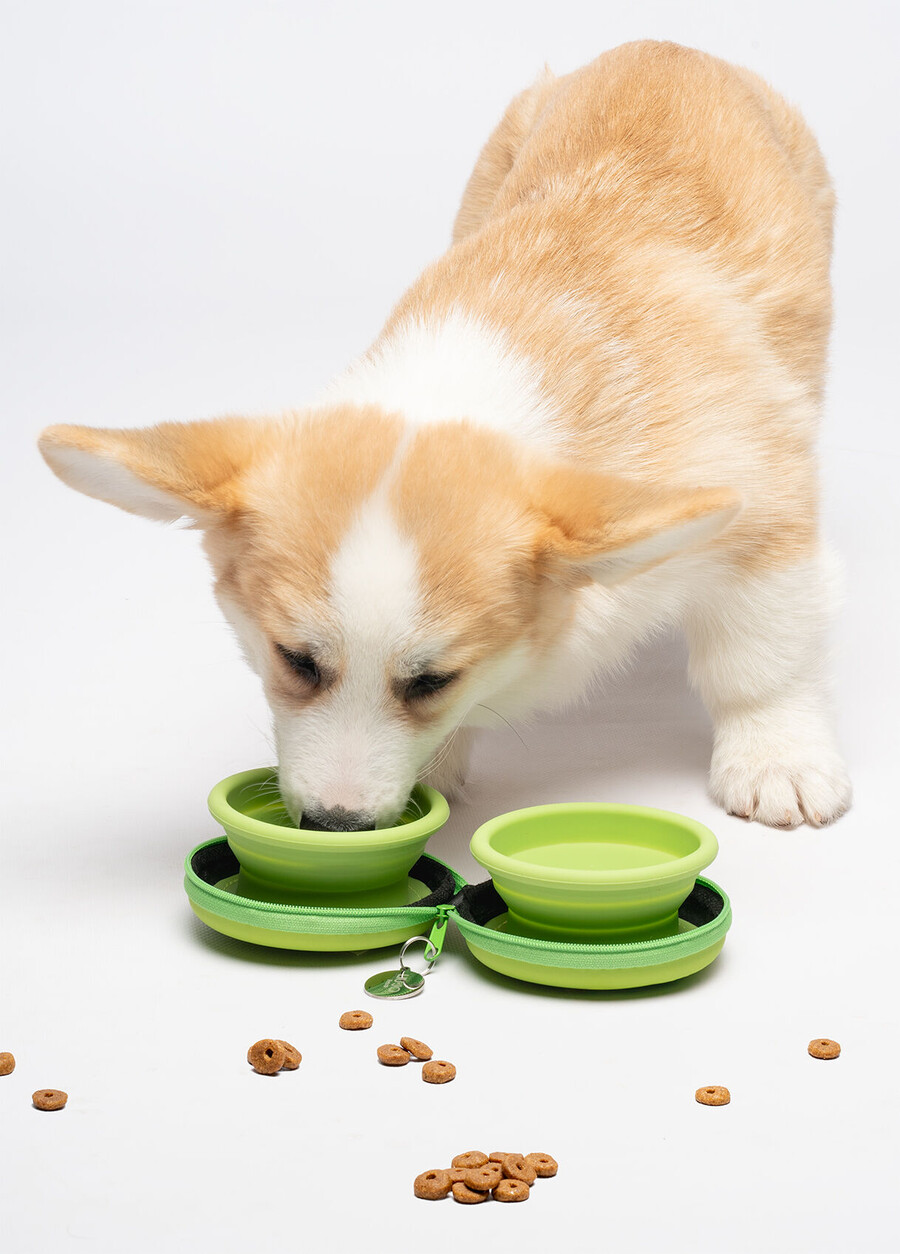liu jo pets travel bowl