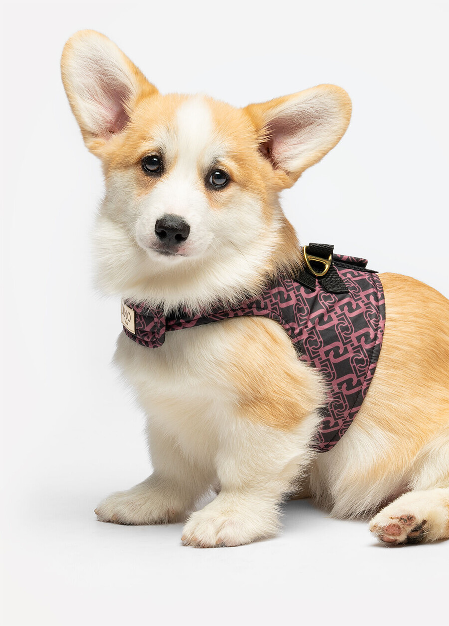 liu jo pets harness