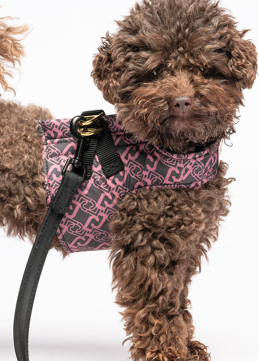 liu jo pets harness