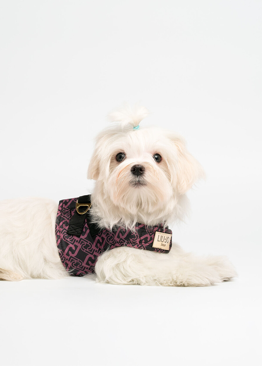 liu jo pets harness