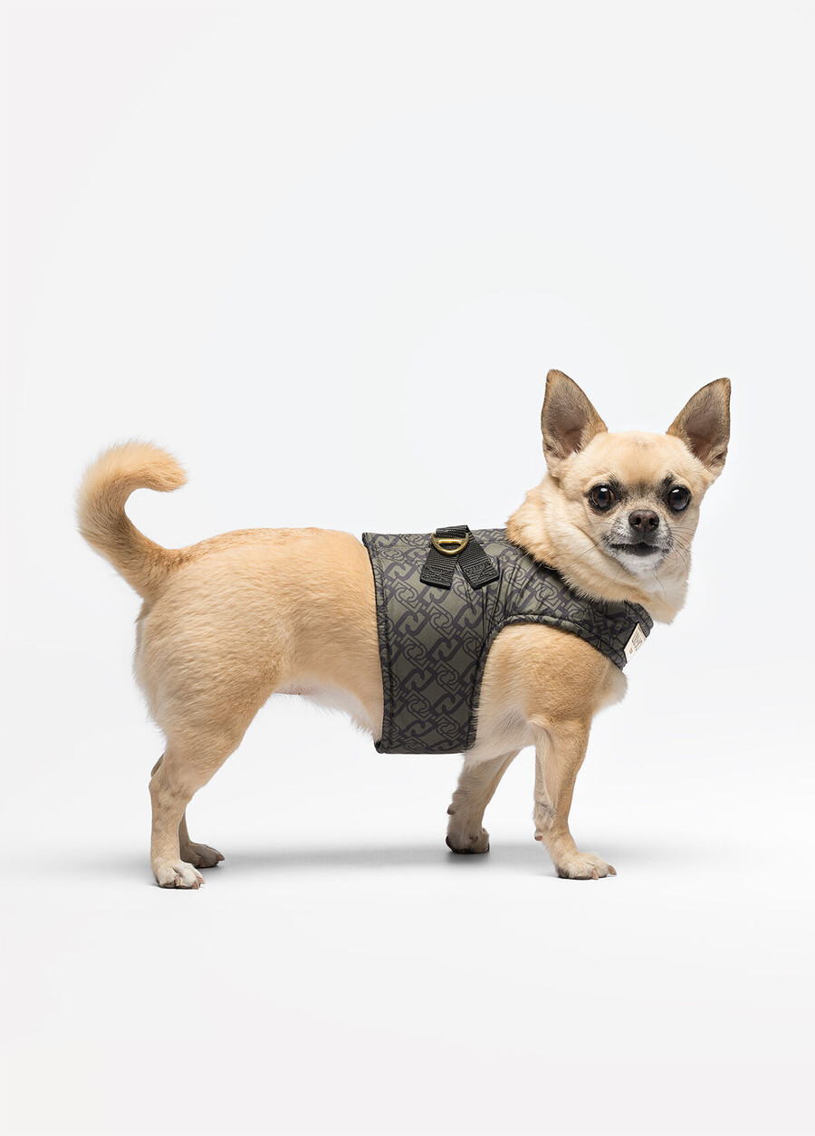 liu jo pets harness