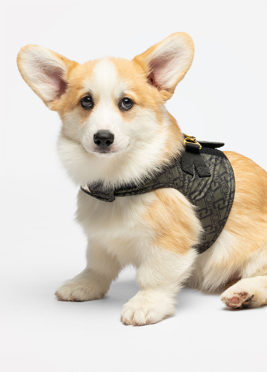 liu jo pets harness