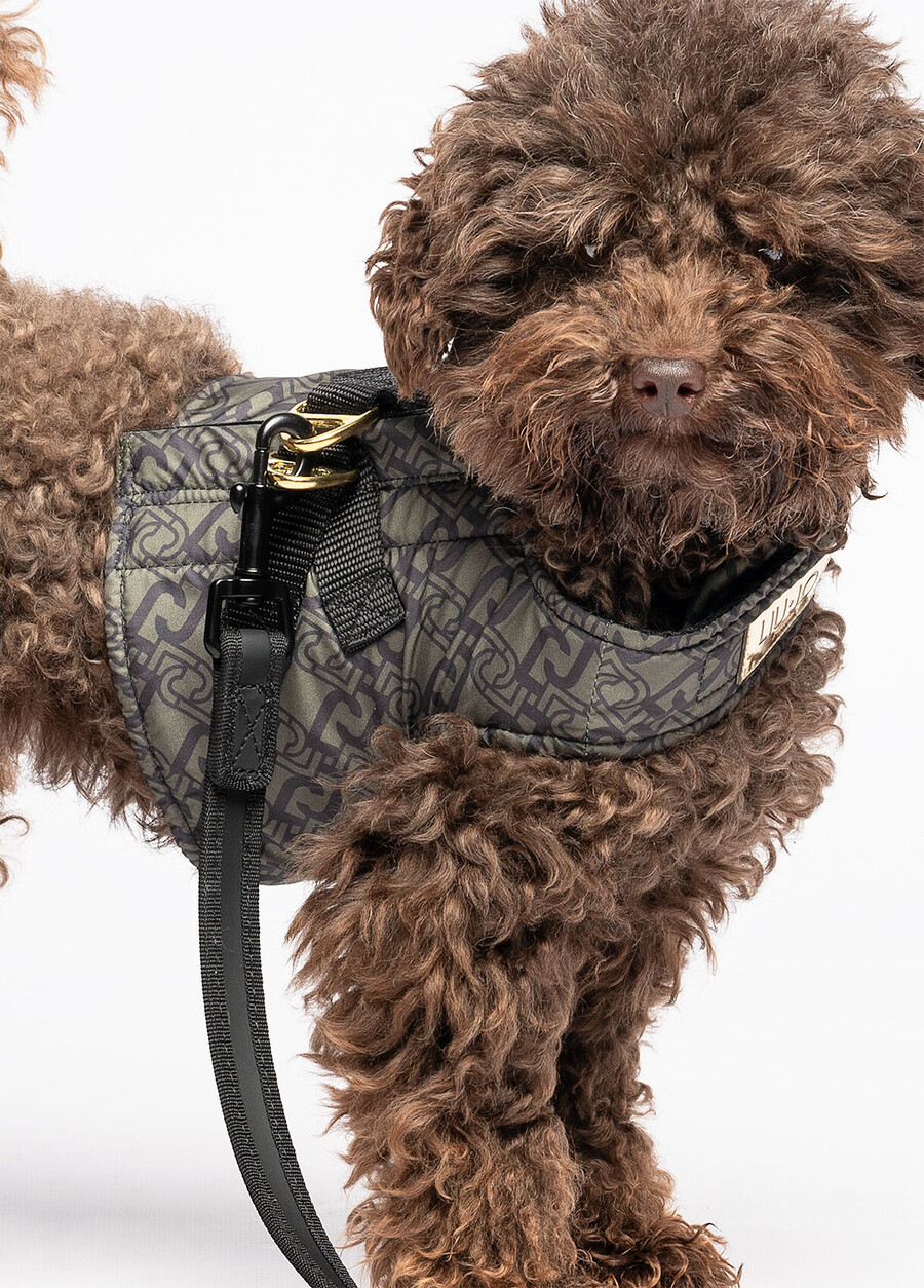 liu jo pets harness