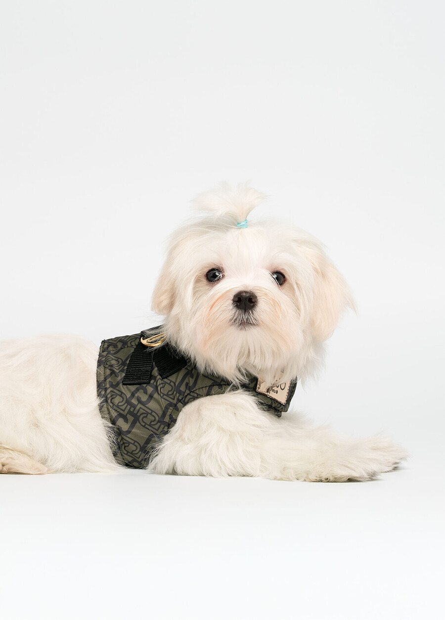 liu jo pets harness