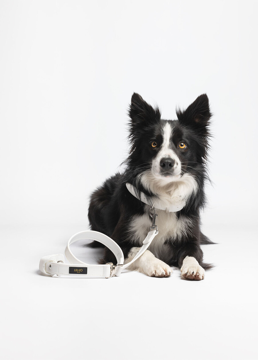 liu jo pets large leash
