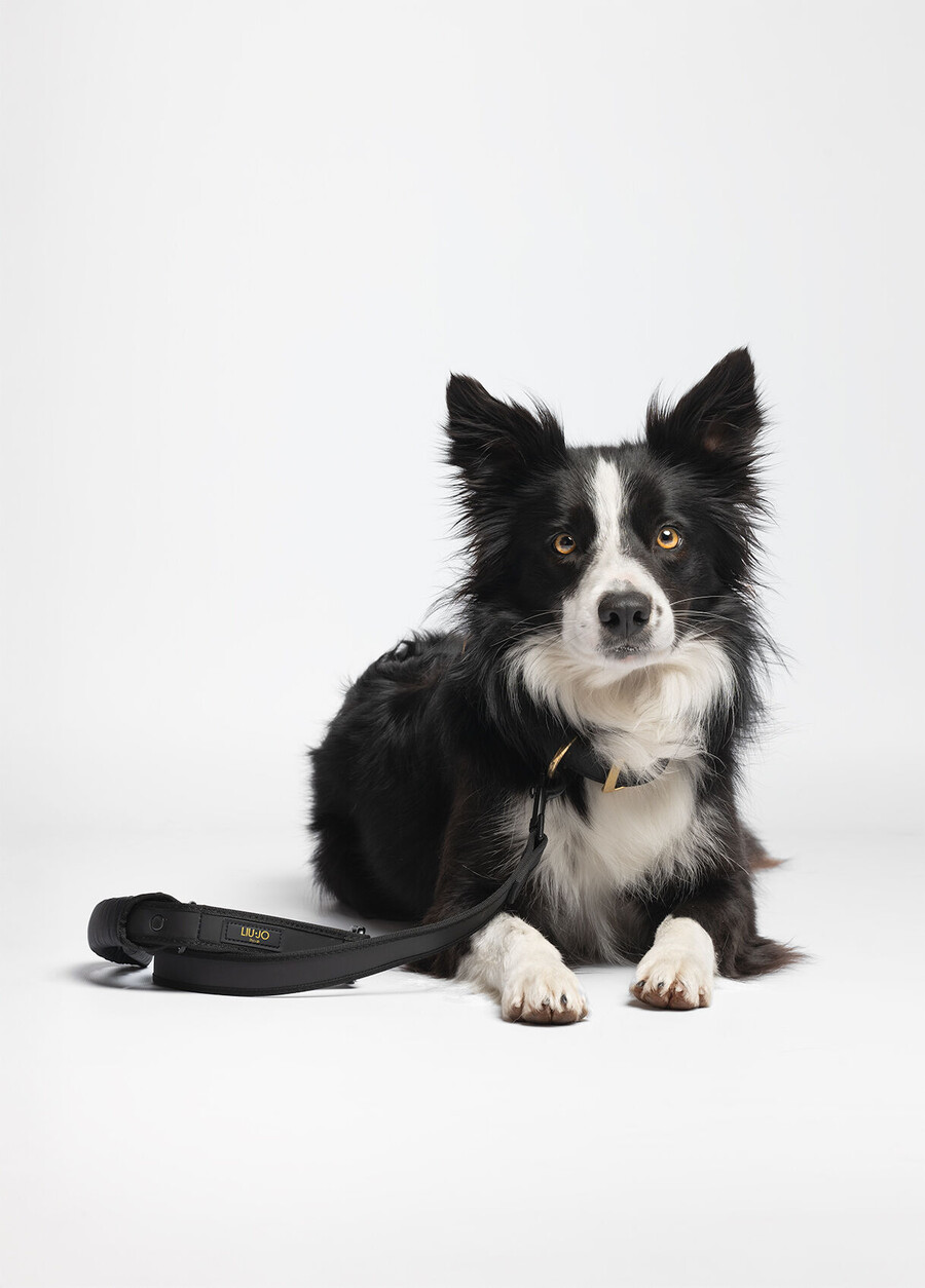 liu jo pets large leash