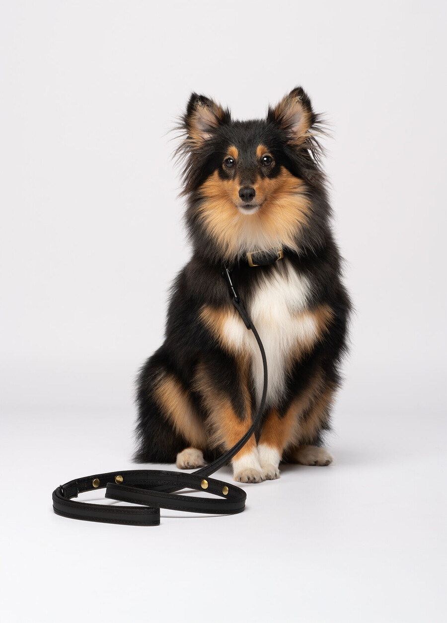 liu jo pets leash