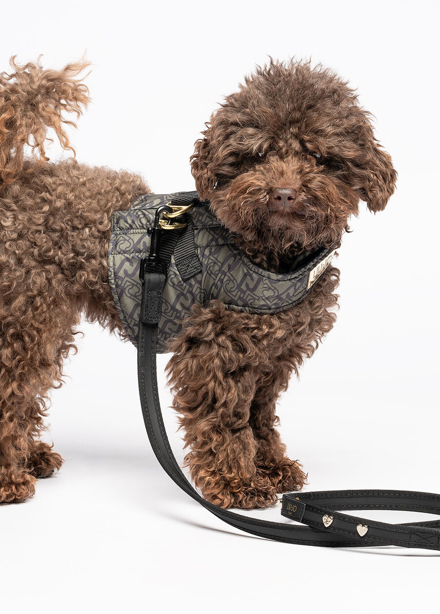 liu jo pets leash