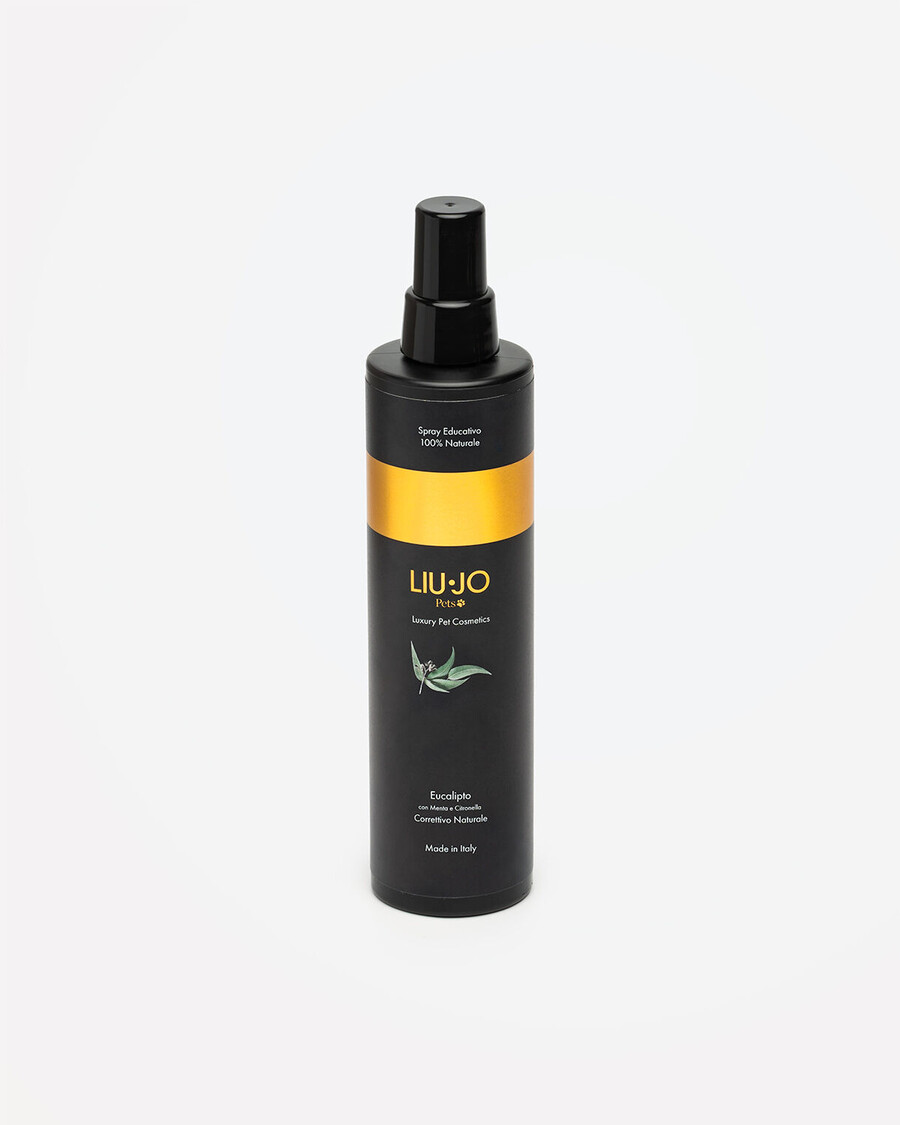 training spray 250 ml