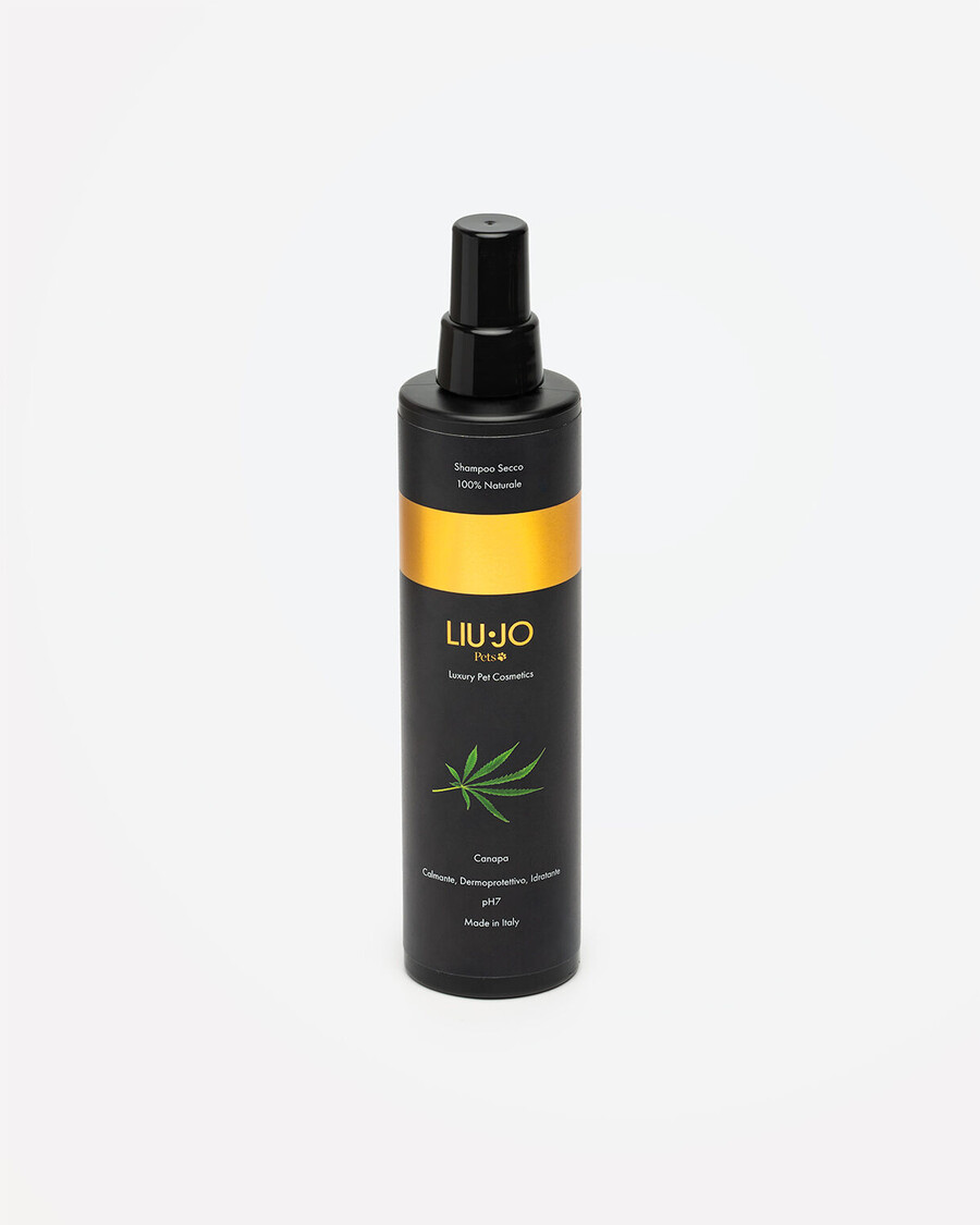 dry shampoo spray 250 ml