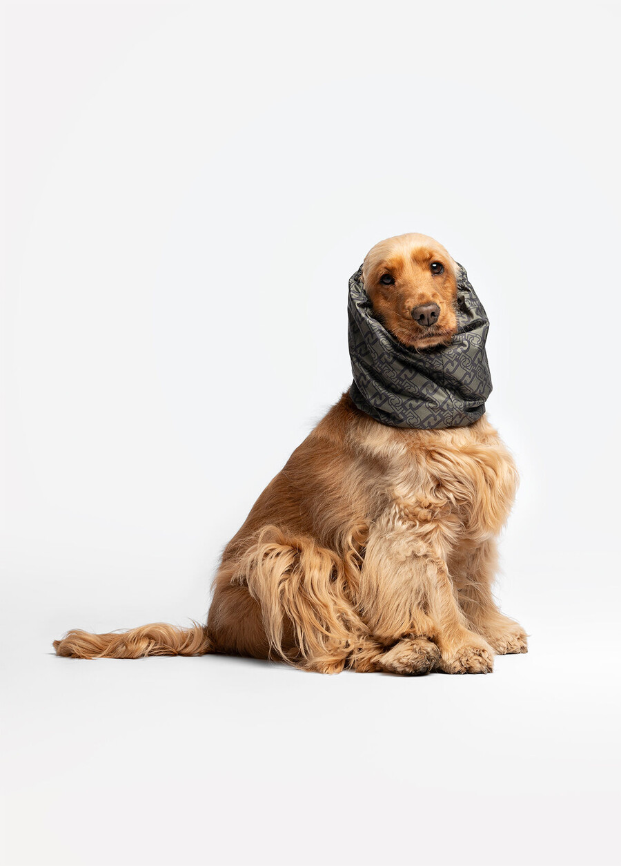 liu jo pets ear and neck warmer