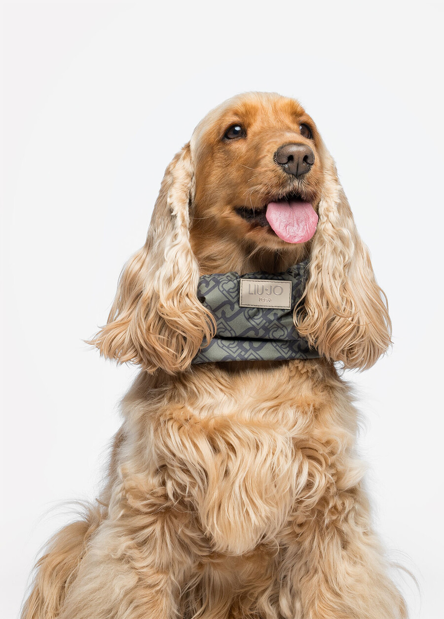 liu jo pets ear and neck warmer