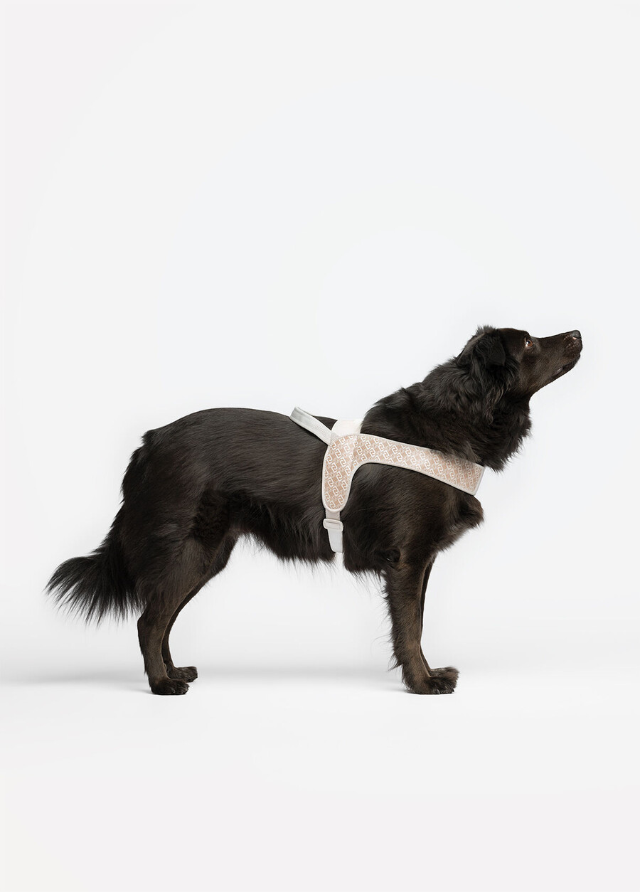 liu jo pets large harness