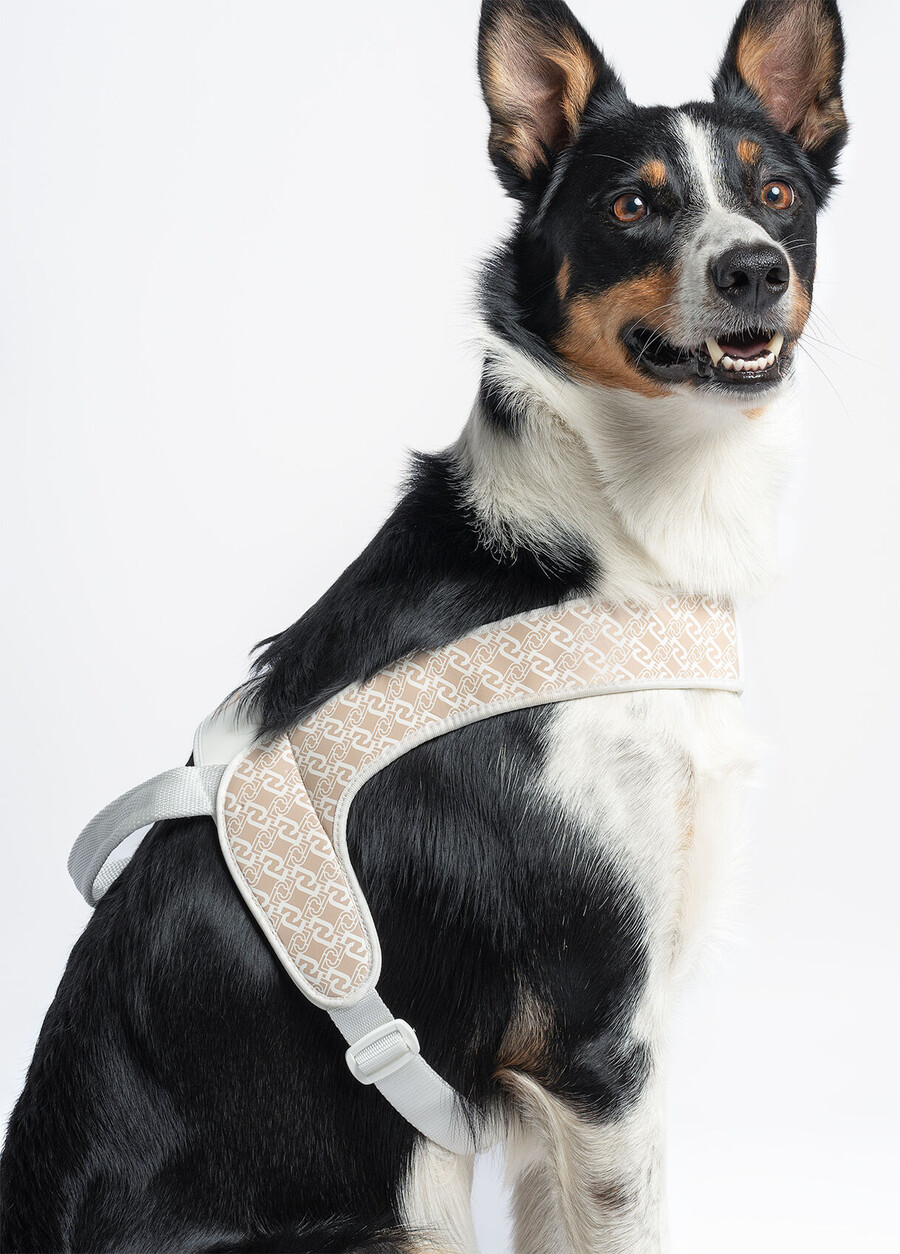 liu jo pets large harness