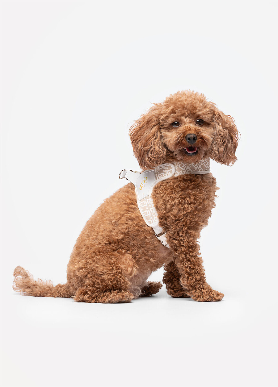 liu jo pets harness