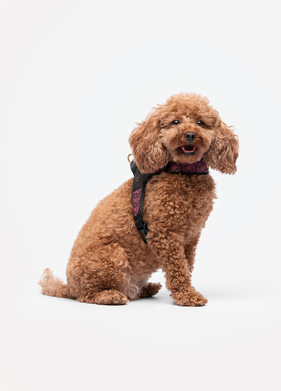 liu jo pets harness