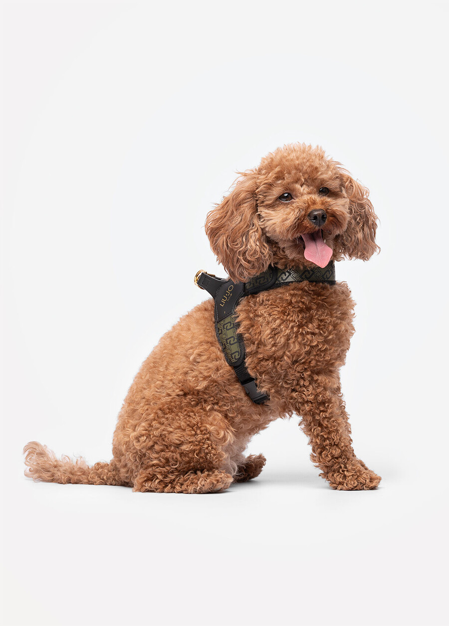 liu jo pets harness