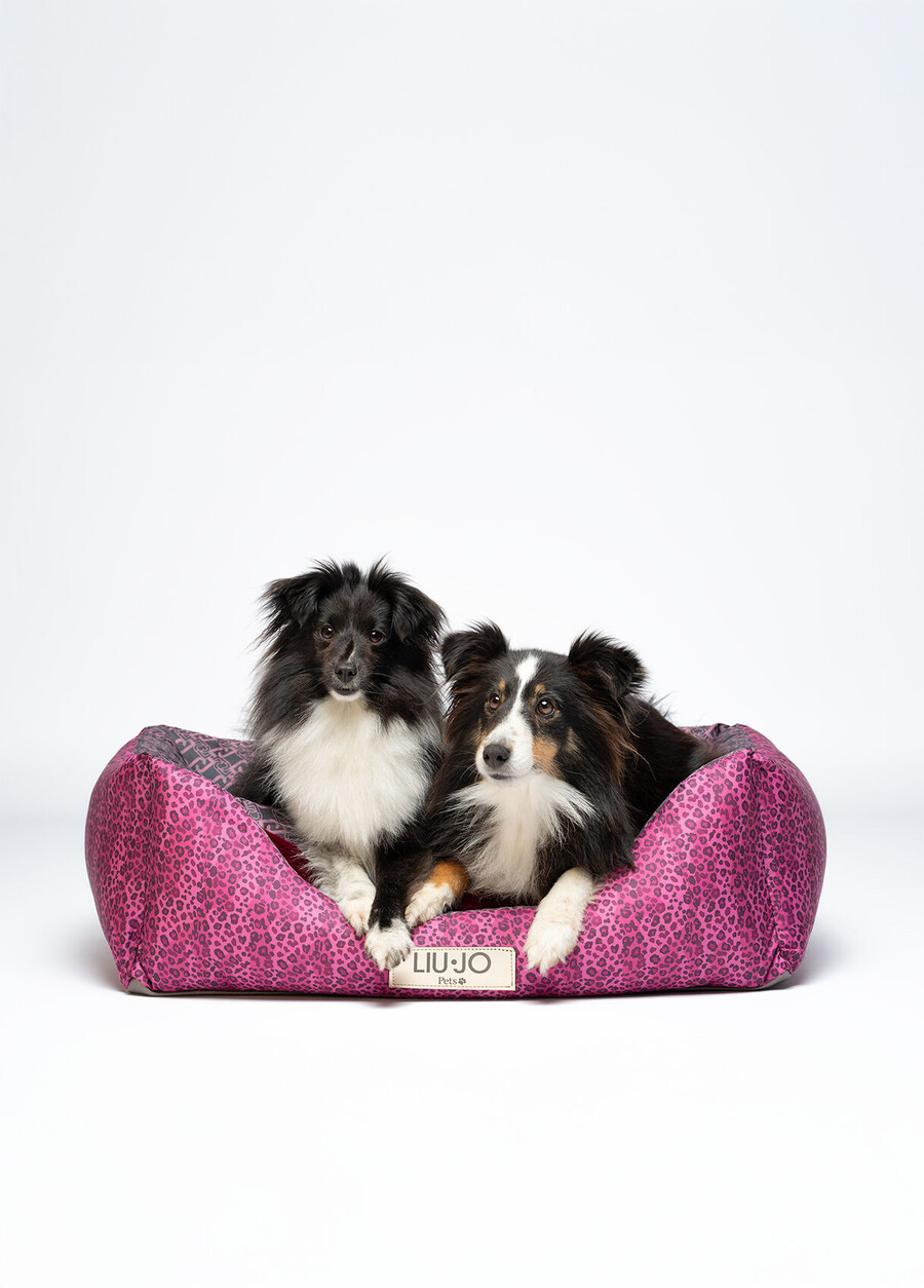 liu jo pets dogs bed