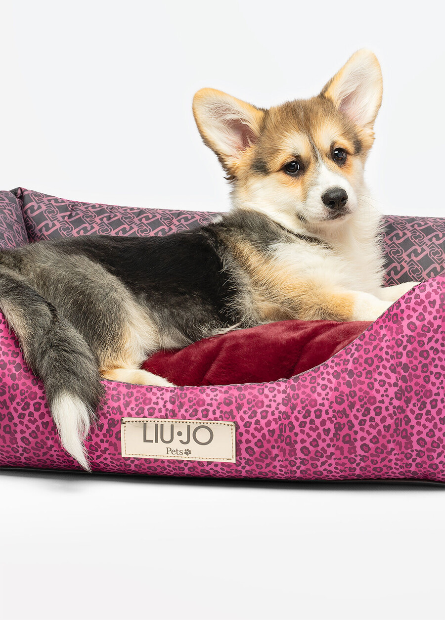liu jo pets dogs bed